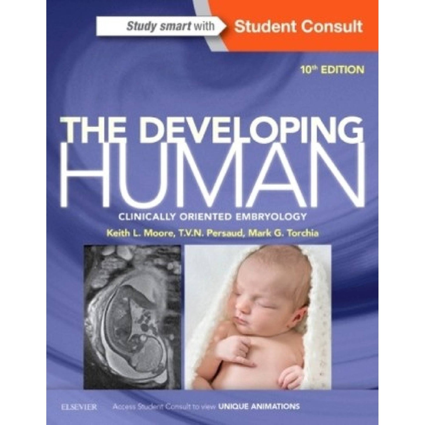 The Developing Human: Clinically Oriented Embryology,