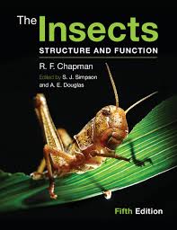The Insects Structure and Function | 5 edition